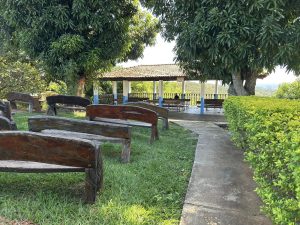 a group of benches in a park